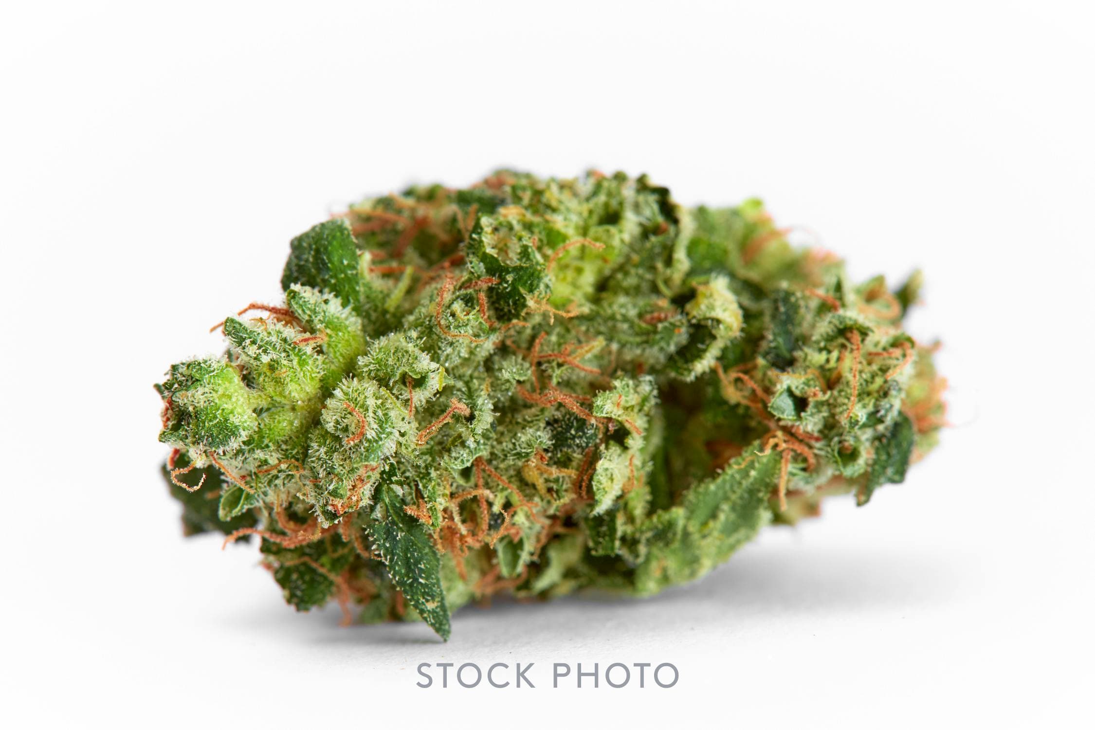 Source image for Flower: Kush VIII (7g) Breakwater Sample
