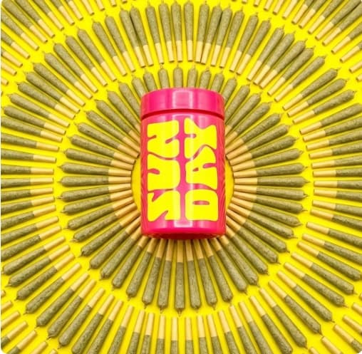 Source image for SUNDAY - Governmint Oasis - 28g/28pk - Prerolls